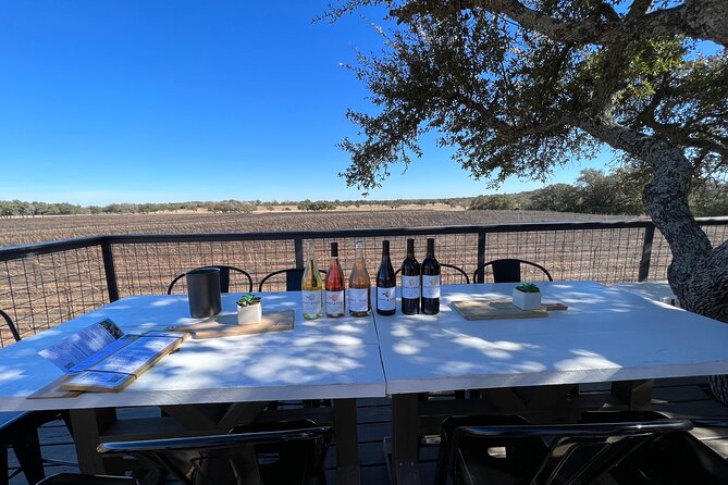 Wine Tour Pros - Fredericksburg Texas Wine Tour up to 6 People - Customer Experiences and Reviews