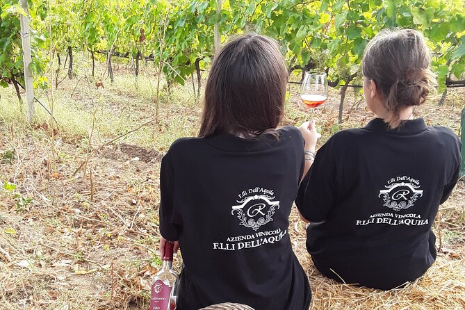 Winery Tour and Wine Tasting in Calabria - Experience Highlights and Recommendations