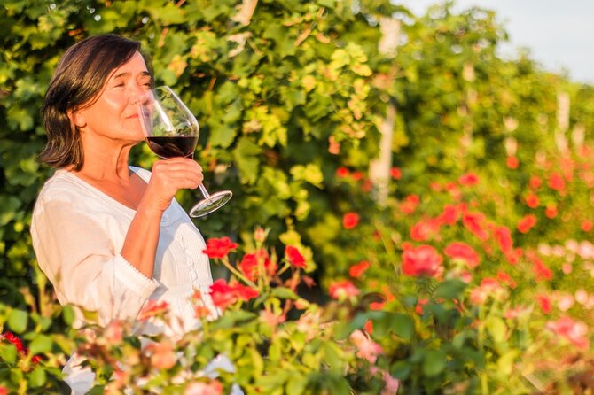 Winery Tour and Wine Tasting in Montepulciano Dabruzzo - Tour Accessibility and Policies