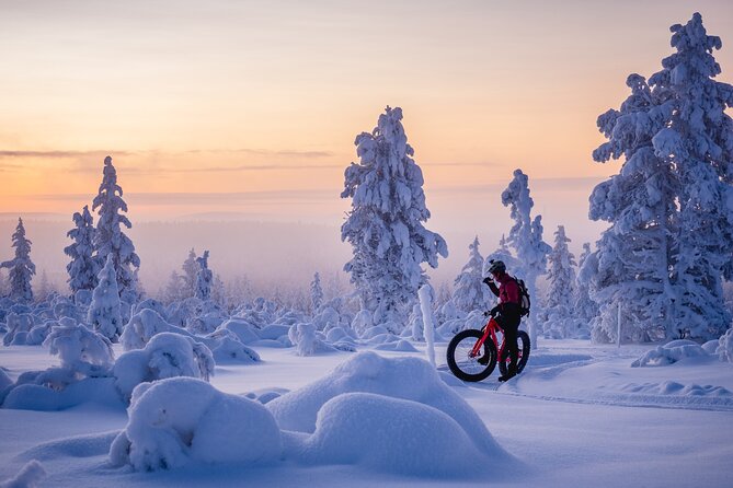 Winter Afternoon Group Ride in Saariselkä - E-Fatbike Riding Experience