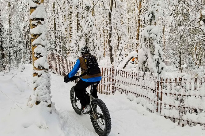 Winter Fat Biking Anchorage Tour - What to Expect on the Tour