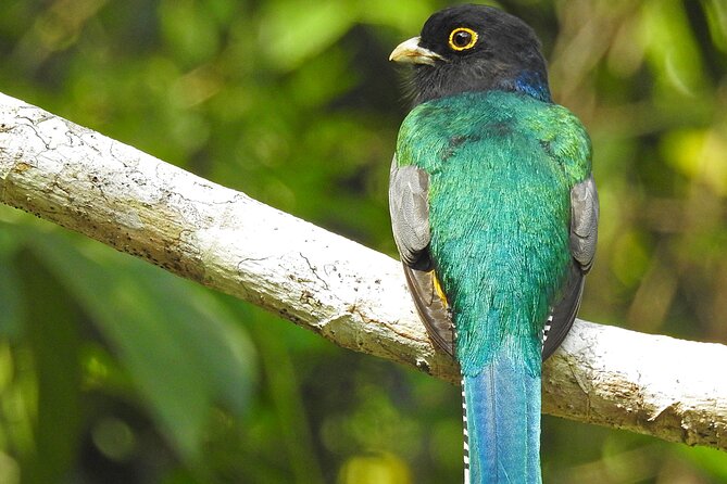 Xocen Birding - What to Bring