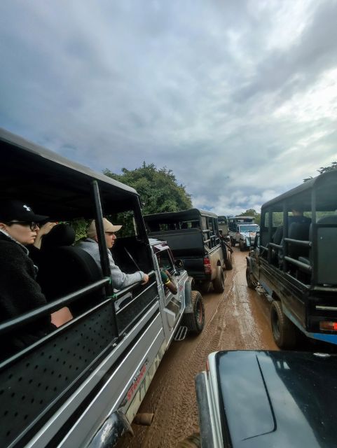 Yala National Park & Birds Park From Galle/Weligama/Mirissa - Important Considerations
