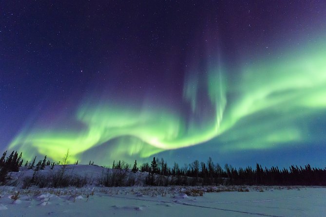 Yellowknife Tours - Aurora by Bus - Recommendations for Travelers