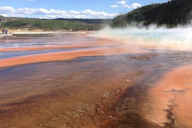 Yellowstone 55+ "Adults Only" Lower Loop W/PU West Yellowstone - Booking and Cancellation Policy