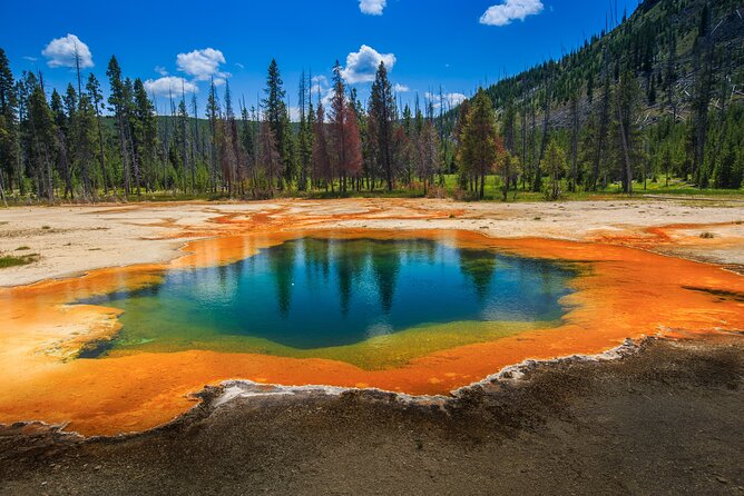 Yellowstone and Grand Teton National Parks Wildlife Adventure (2 Day/1 Night) - Booking and Packing