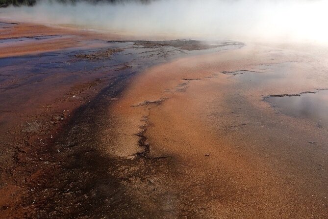 Yellowstone for Kids Family Fun Tour W/Pu in West Yellowstone - Exceptional Customer Feedback