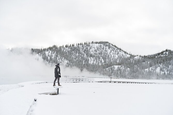 Yellowstone & Grand Teton National Parks Private Winter Tour 5-Day - Guest Reviews