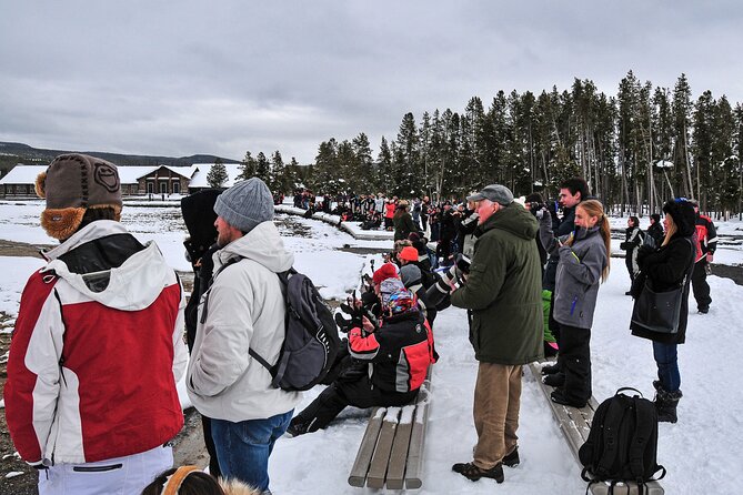 Yellowstone & Grand Teton National Parks Winter Tour: Small Group 4-Day Tour - Customer Feedback