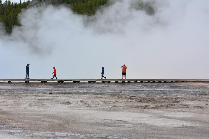 Yellowstone Western Tours - Reviews and Recommendations