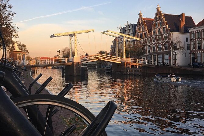 Your Own Holland. Haarlem, the Coastal Dunes and the North Sea - Taking in the North Sea