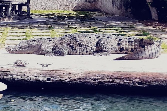Ys Falls, Black River Safari and Appleton Estate Private Tour - Tour Scheduling and Cancellation