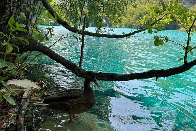 Zagreb: Plitvice Lakes With Secured Tickets, Boat And Train Ride - Flexible Cancellation Policy for Travelers