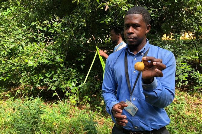 Zanzibars Finest: Private Tour of Top 5 Attractions With Lunch - Enjoying the Jungle Lunch Setting
