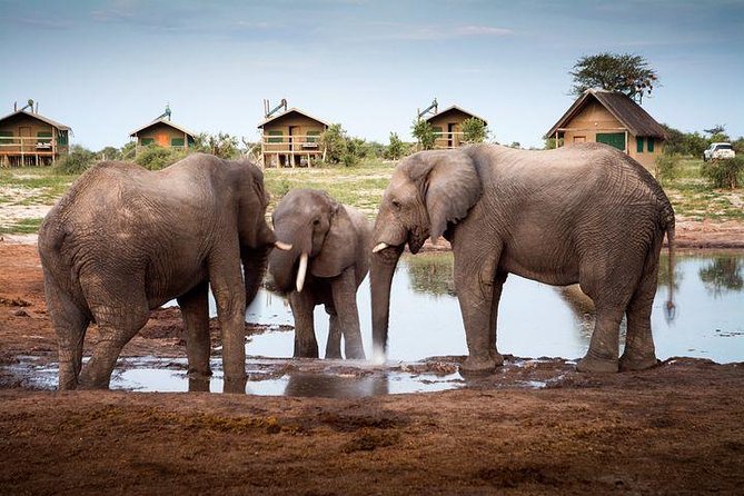 7 Day Highlights Of Botswana Overland Tour – ACCOMODATED (midrange) - Good To Know