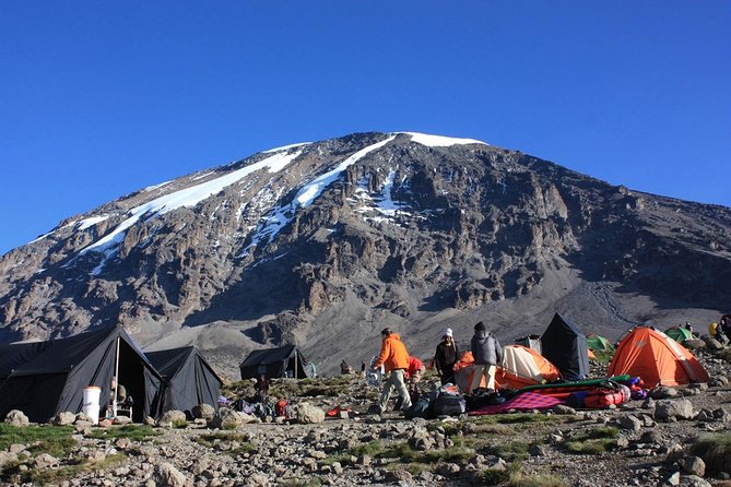 7 Days Machame Route Kilimanjaro Trekking