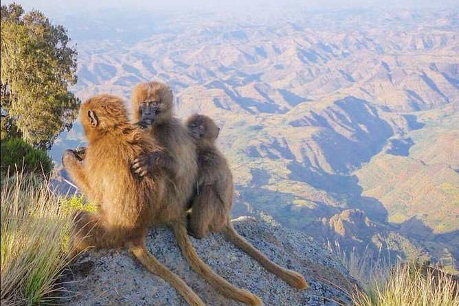 7 Days Northen Ethiopia Tour - Key Points