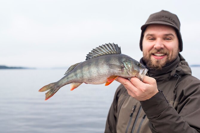 7 Days Tour Relaxing Holiday Under the Midnight Sun in Lapland - Good To Know