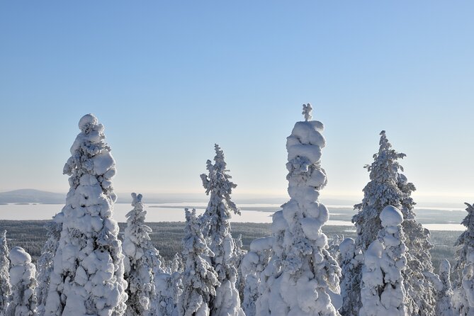 7 Days Winter Lapland Nature Experience - Good To Know