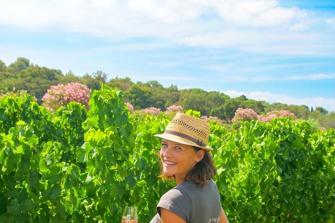 1/2 Day Private Vintage Tour, Vineyards of Saint-Tropez - The Sum Up