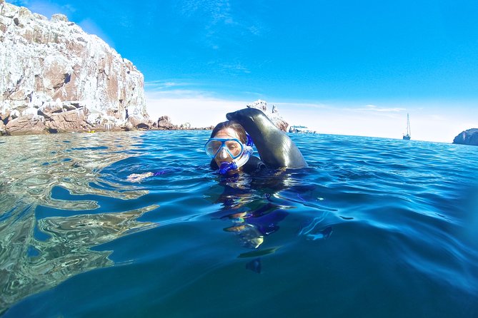 1 Day Espiritu Santo Island Wonders, Sea Lions and Paddleboard Adventure - Frequently Asked Questions
