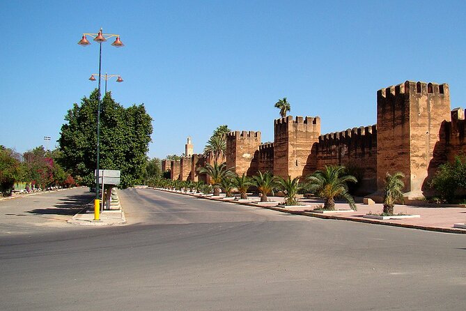 1 Day Guided Tour to Tiout Tarodant From Agadir - Tips for the Tour
