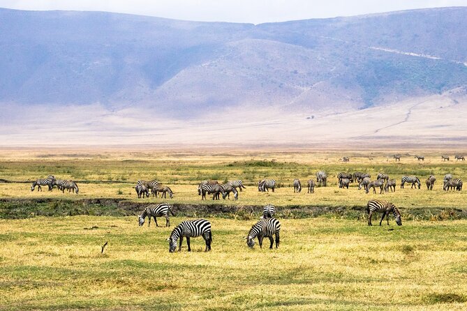 1 Day Ngorongoro Crater Group Jioning Safari - Frequently Asked Questions