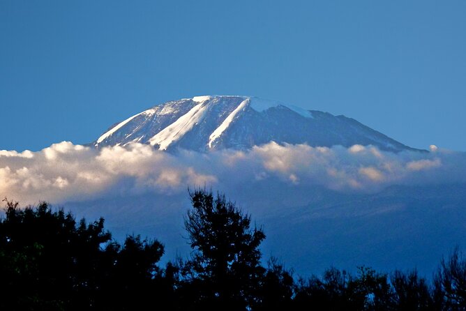 1 Day Short 4x4 Safari: ARUSHA NATIONAL PARK Incl. Lodge-Lunch - Booking Information