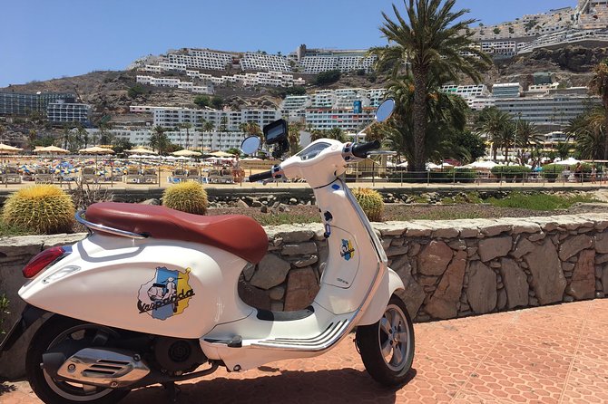 1 Day Vespa Gran Canaria by Vespa GPS Guided Tour - Guest Reviews