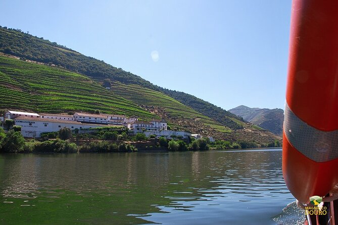 1-Hour Rabelo Boat Trip in Pinhão - Activity Duration and Capacity