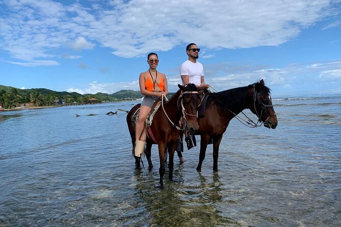 1 HR Horseback Riding + Sloths, Island Tour & Beach Break - About the Provider
