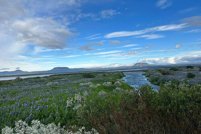1 Hrs ATV Quad Trip Down With Glacier River Northeast of Iceland - The Sum Up