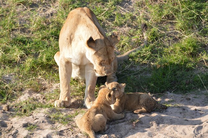 10-Day Amazing Comfort Camping Safari - Frequently Asked Questions