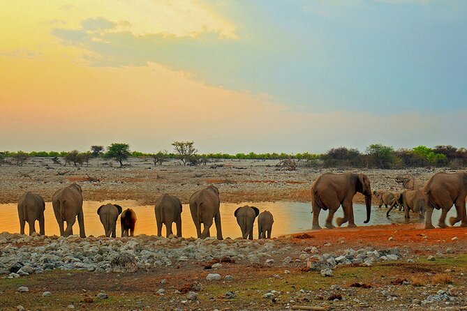 10 DAYS BEAUTY OF NAMIBIA | Private Guided Tour - Cancellation Information