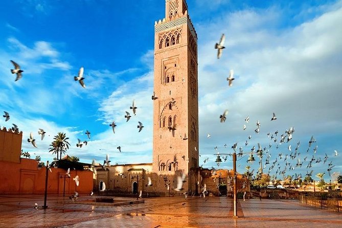 10 Days Tour From Casablanca, Morocco - Vibrant Marrakech Sights and Sounds