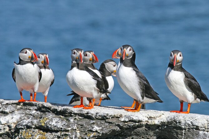 10 Hours Private South Coast Guided Tour - Sum Up