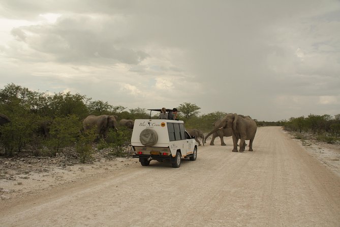11 Day Namibia Experience Fully Accommodated Tour - Traveler Reviews and Ratings