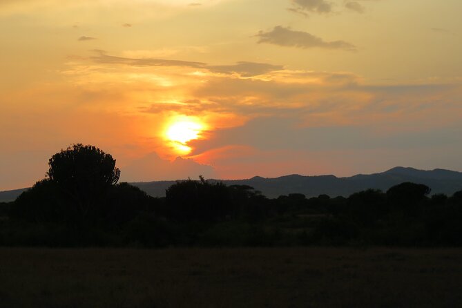 12-Day Moderately Priced Pearl of Africa - Uganda Private Safari - Booking and Cancellation Policy