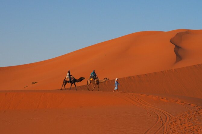 12 Days Best Highlights of Morocco - Frequently Asked Questions