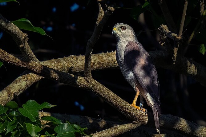 2-Day Bird Watching Tour in the Sierra De Bahoruco - Planning Your Trip