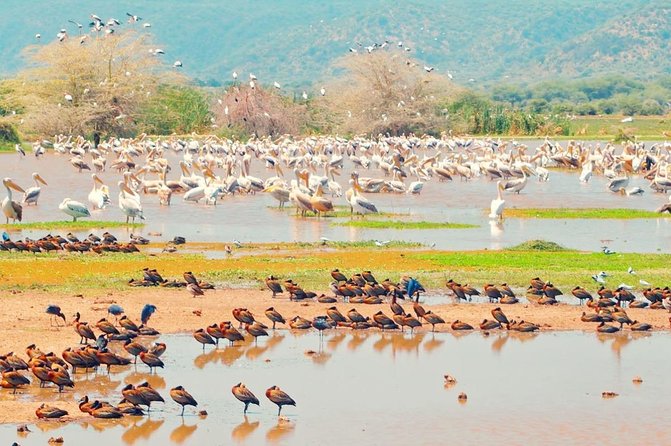 2 Day: Tarangire and Ngorongoro Crater - Frequently Asked Questions