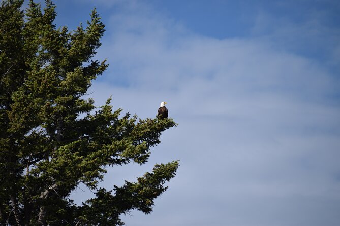 2-Day Yellowstone Tour Lower and Upper Loop Guided Tour - Booking Details