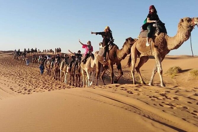 2 Days Luxury Tour to Merzouga Desert From Fez With Small Group - Luxury Desert Accommodations