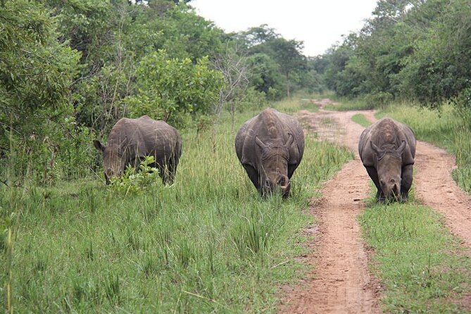 2-days Murchison Falls and Wildlife Game Viewing - Booking and Cancellation Policies