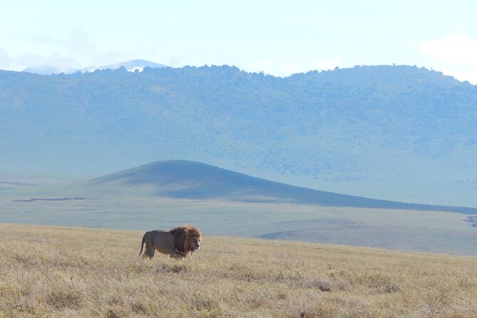 2 Days Tarangire and Ngorongoro Crater Tour - Frequently Asked Questions
