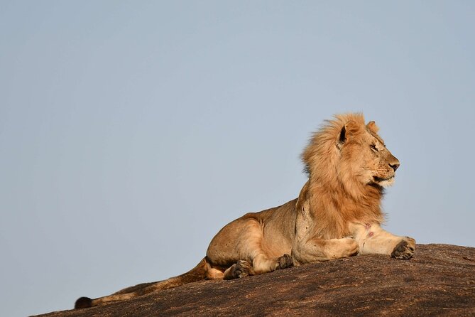 2 Days Tarangire and Ngorongoro Safari From Zanzibar - Customer Reviews