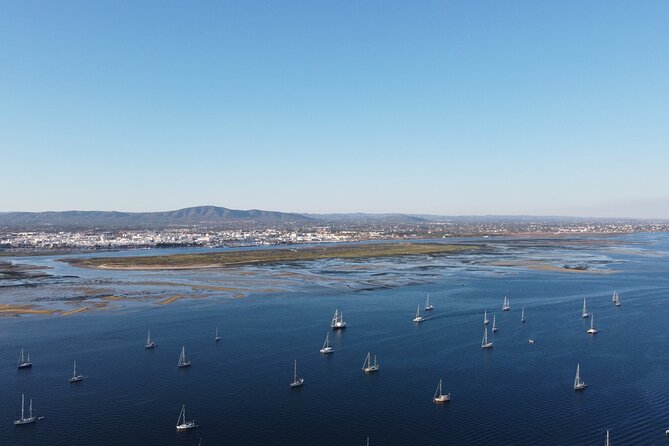 2 Hours Boat Tour Fishermens Route in Ria Formosa - Pricing and Inclusions