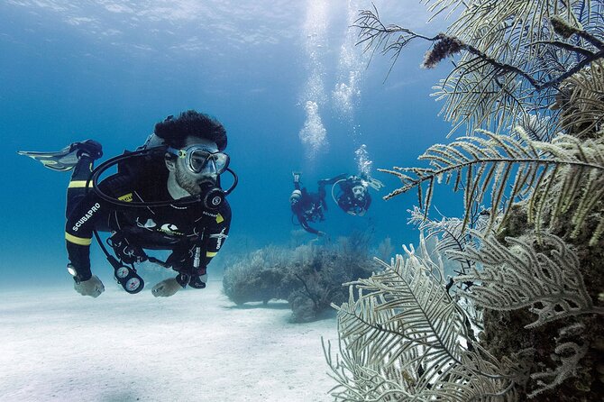 2 Tank Dive (For Certified Divers) - Booking Details