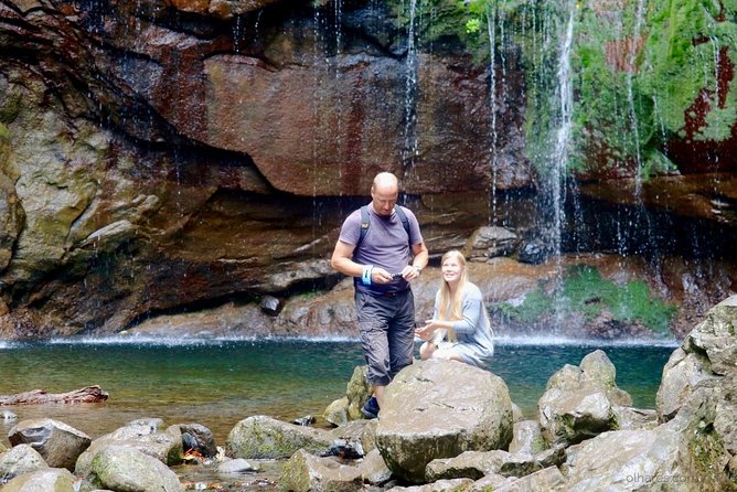 25 Fountains Walk / Lost In The Beautiful Forest - Preparing for the Adventure