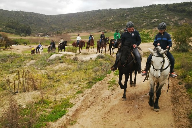 2h – Horse Trail - Frequently Asked Questions